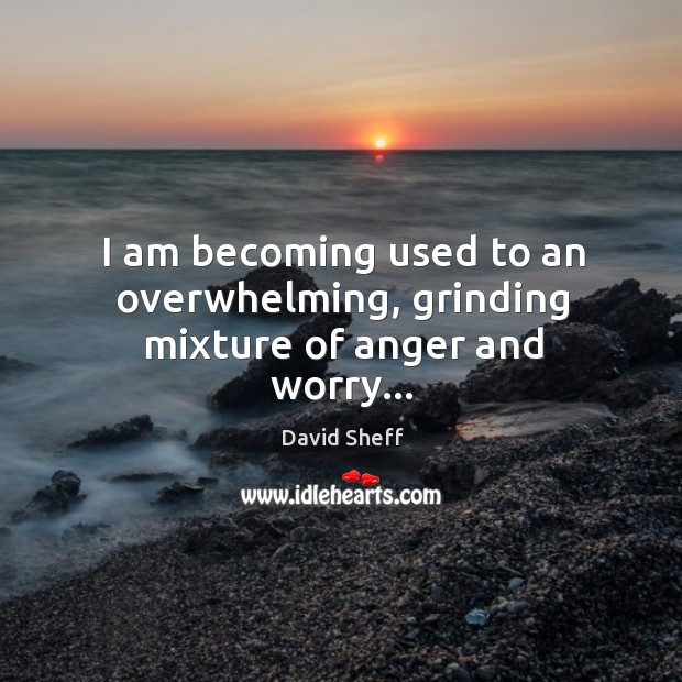 I am becoming used to an overwhelming, grinding mixture of anger and worry… David Sheff Picture Quote