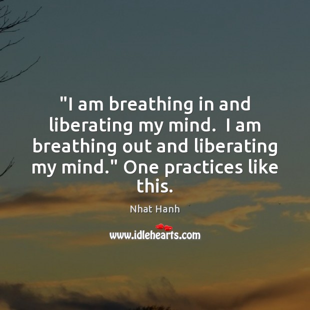 “I am breathing in and liberating my mind.  I am breathing out Image