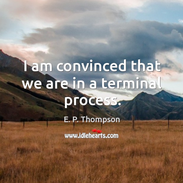 I am convinced that we are in a terminal process. E. P. Thompson Picture Quote