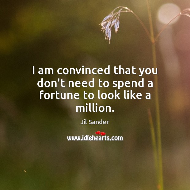 I am convinced that you don’t need to spend a fortune to look like a million. Jil Sander Picture Quote