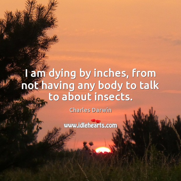I am dying by inches, from not having any body to talk to about insects. Charles Darwin Picture Quote