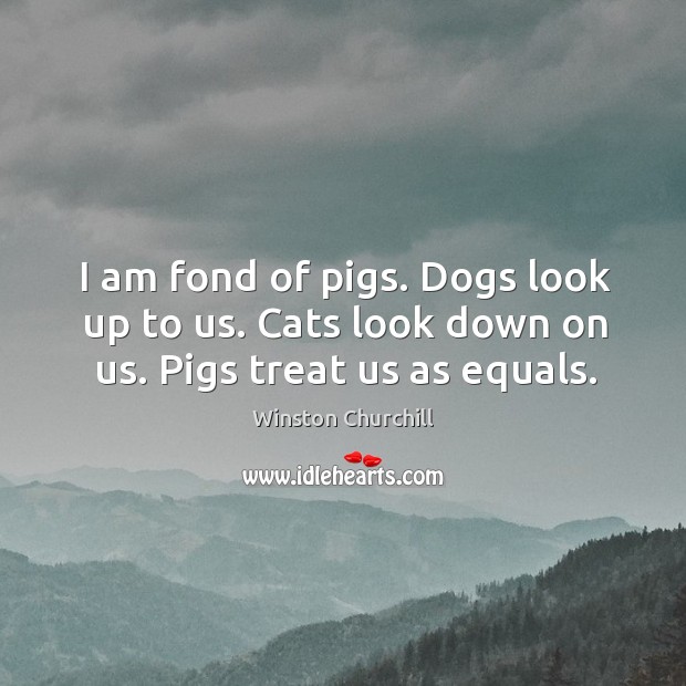 I am fond of pigs. Dogs look up to us. Cats look down on us. Pigs treat us as equals. Winston Churchill Picture Quote