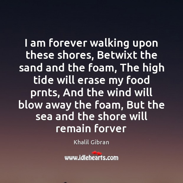I am forever walking upon these shores, Betwixt the sand and the Image