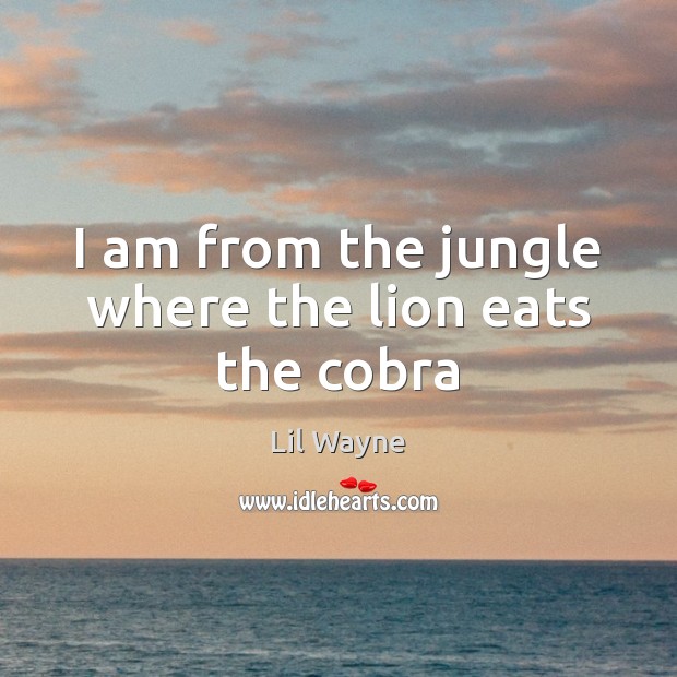 I am from the jungle where the lion eats the cobra Lil Wayne Picture Quote