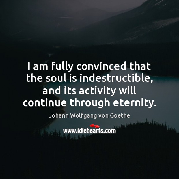 I am fully convinced that the soul is indestructible, and its activity Johann Wolfgang von Goethe Picture Quote