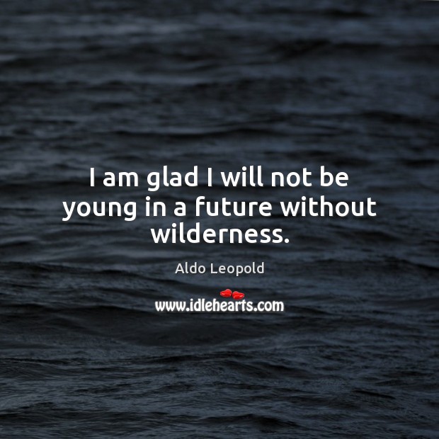 I am glad I will not be young in a future without wilderness. Aldo Leopold Picture Quote
