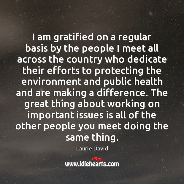 I am gratified on a regular basis by the people I meet Laurie David Picture Quote