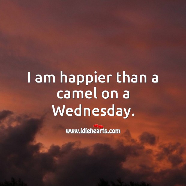 I am happier than a camel on a Wednesday. Wednesday Quotes Image
