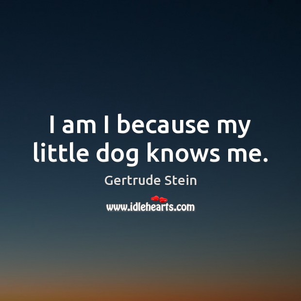I am I because my little dog knows me. Image