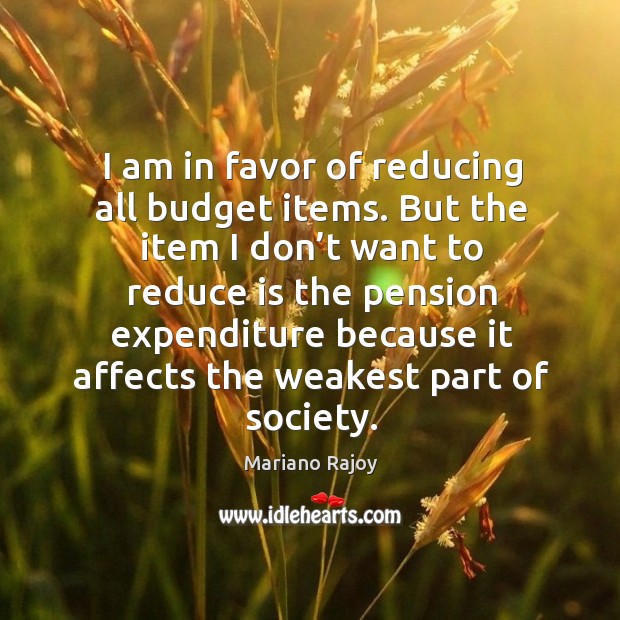 I am in favor of reducing all budget items. But the item I don’t want to reduce Mariano Rajoy Picture Quote