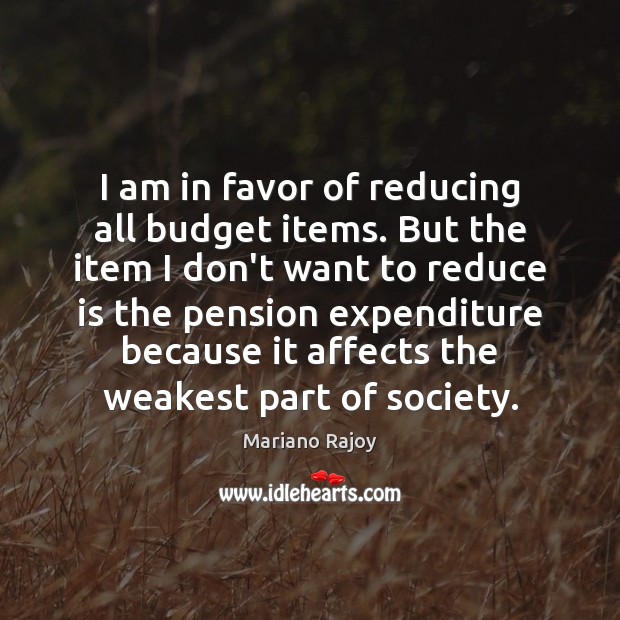 I am in favor of reducing all budget items. But the item Mariano Rajoy Picture Quote