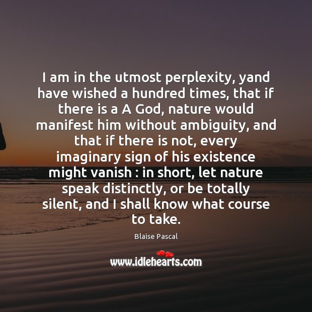 I am in the utmost perplexity, yand have wished a hundred times, Blaise Pascal Picture Quote