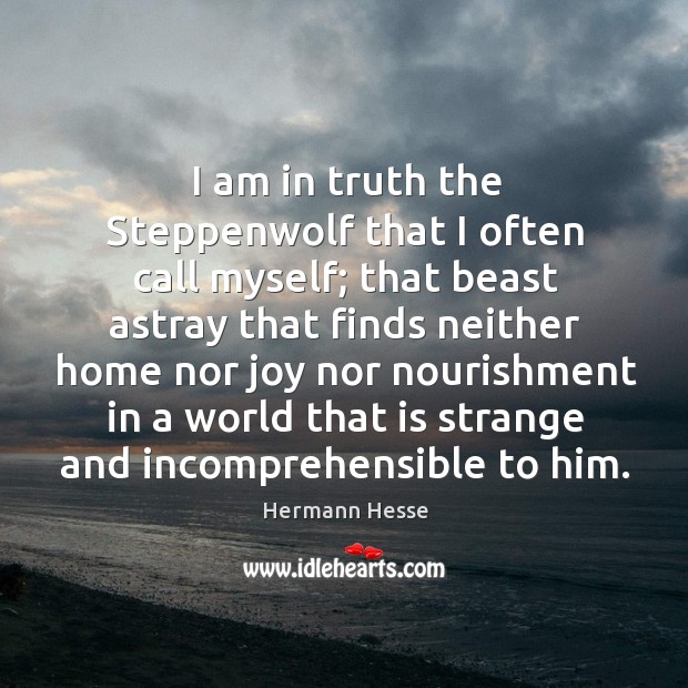 I am in truth the Steppenwolf that I often call myself; that 