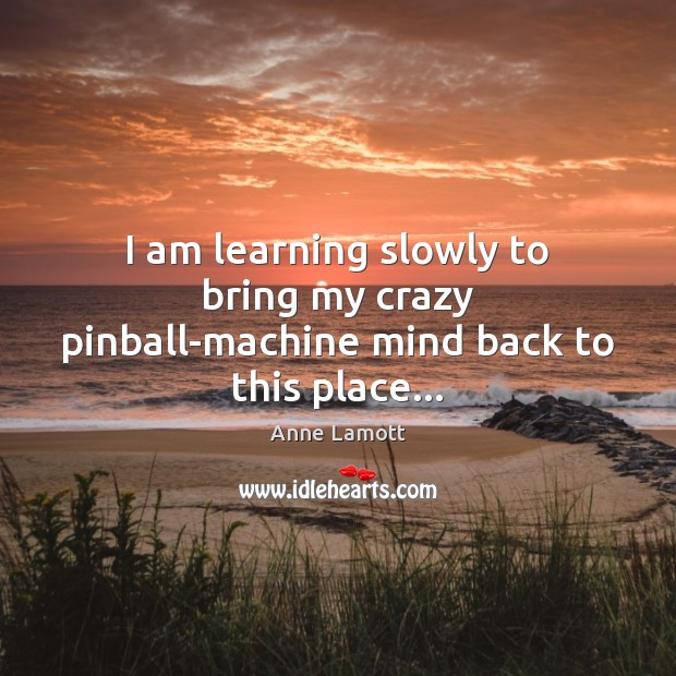 I am learning slowly to bring my crazy pinball-machine mind back to this place… Anne Lamott Picture Quote