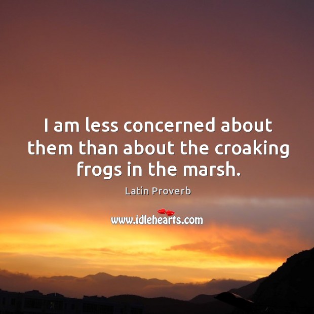 I am less concerned about them than about the croaking frogs in the marsh. Latin Proverbs Image