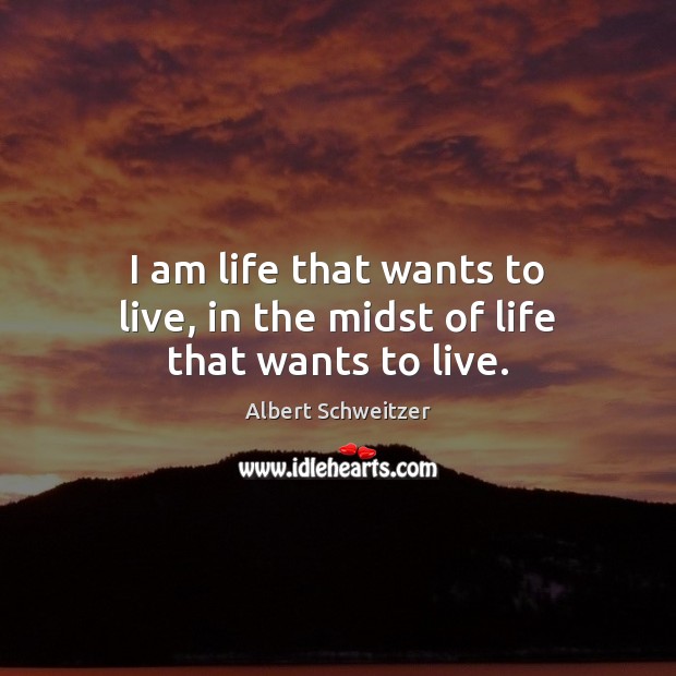 I am life that wants to live, in the midst of life that wants to live. Albert Schweitzer Picture Quote