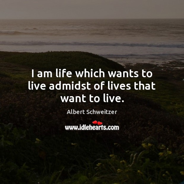 I am life which wants to live admidst of lives that want to live. Albert Schweitzer Picture Quote