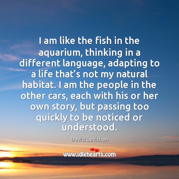 I am like the fish in the aquarium, thinking in a different Image