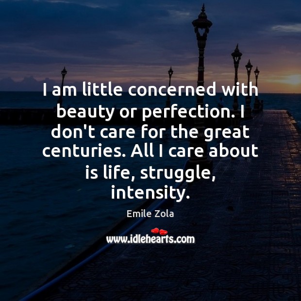 I am little concerned with beauty or perfection. I don’t care for Emile Zola Picture Quote