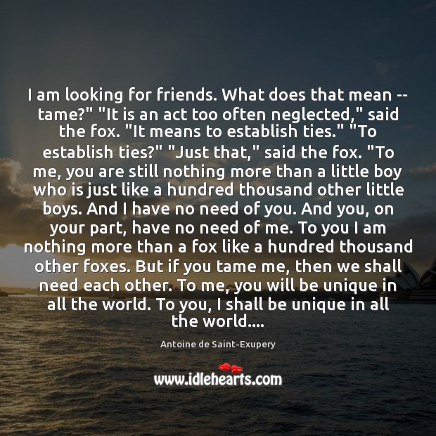 I am looking for friends. What does that mean — tame?” “It Antoine de Saint-Exupery Picture Quote