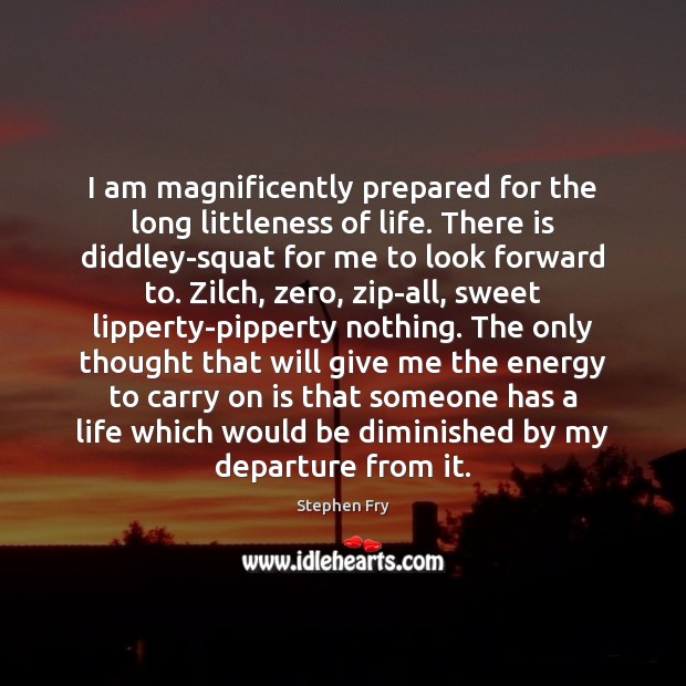 I am magnificently prepared for the long littleness of life. There is Stephen Fry Picture Quote