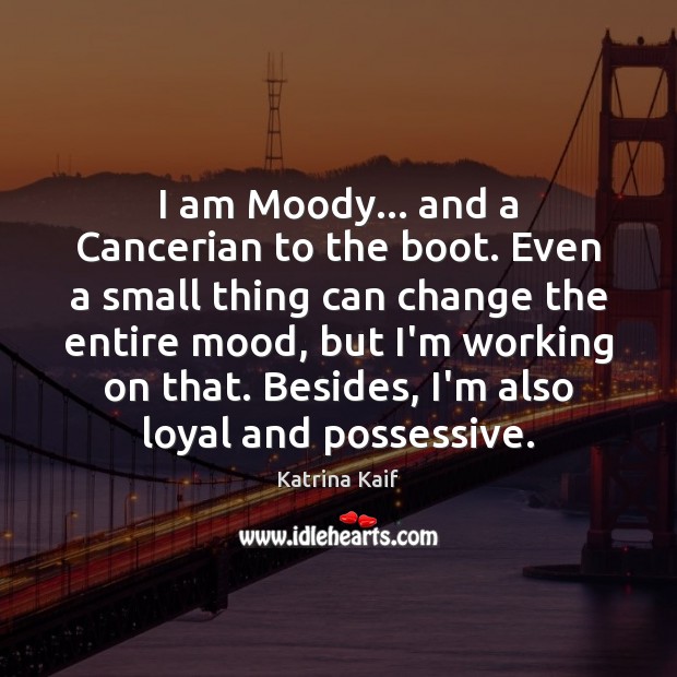 I am Moody… and a Cancerian to the boot. Even a small Image