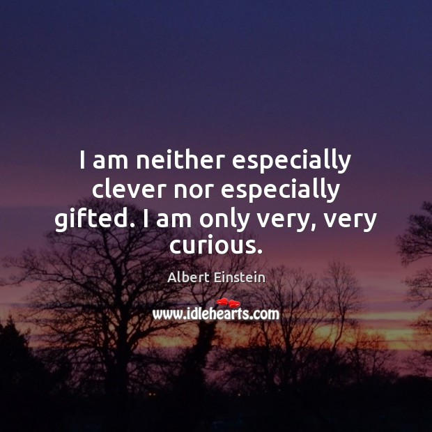 I am neither especially clever nor especially gifted. I am only very, very curious. Image
