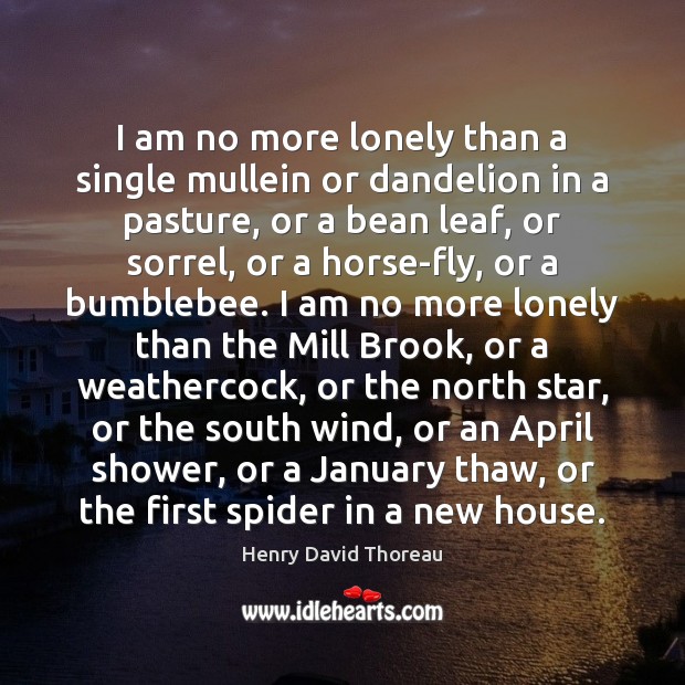 I am no more lonely than a single mullein or dandelion in Image