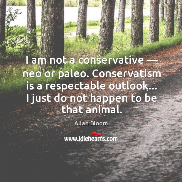 I am not a conservative — neo or paleo. Conservatism is a respectable Image