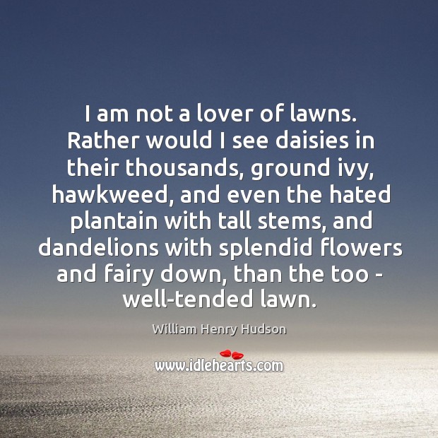 I am not a lover of lawns. Rather would I see daisies William Henry Hudson Picture Quote