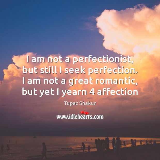 I am not a perfectionist, but still I seek perfection. I am Image