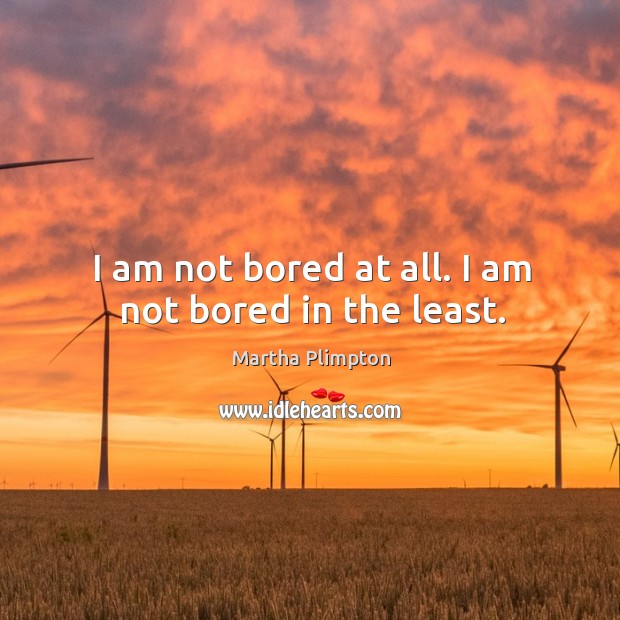 I am not bored at all. I am not bored in the least. Martha Plimpton Picture Quote