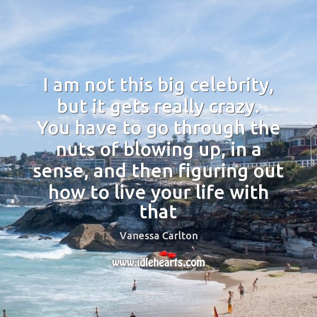 I am not this big celebrity, but it gets really crazy. You Vanessa Carlton Picture Quote