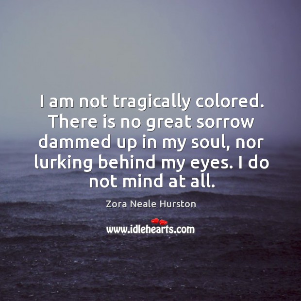 I am not tragically colored. There is no great sorrow dammed up Image