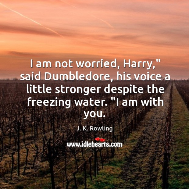 I am not worried, Harry,” said Dumbledore, his voice a little stronger Image