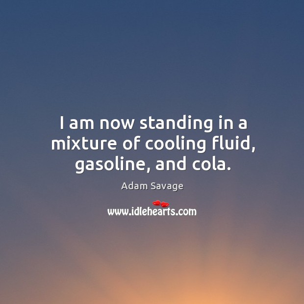 I am now standing in a mixture of cooling fluid, gasoline, and cola. Adam Savage Picture Quote