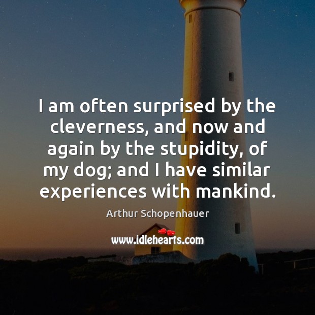 I am often surprised by the cleverness, and now and again by Arthur Schopenhauer Picture Quote