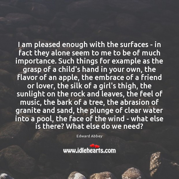 I am pleased enough with the surfaces – in fact they alone Edward Abbey Picture Quote