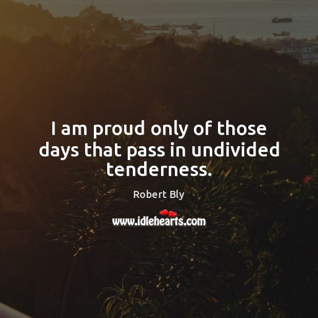 I am proud only of those days that pass in undivided tenderness. Robert Bly Picture Quote
