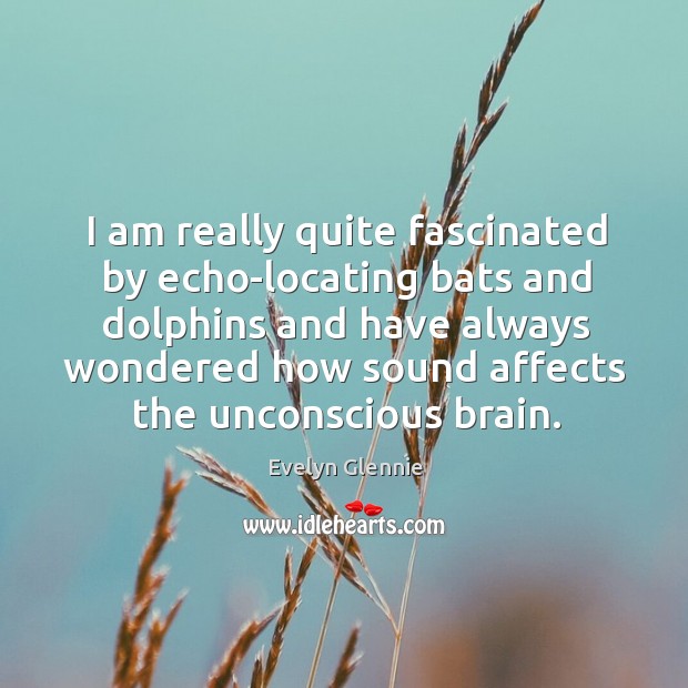 I am really quite fascinated by echo-locating bats and dolphins and have always Evelyn Glennie Picture Quote
