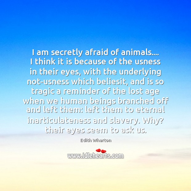 I am secretly afraid of animals…. I think it is because of Edith Wharton Picture Quote
