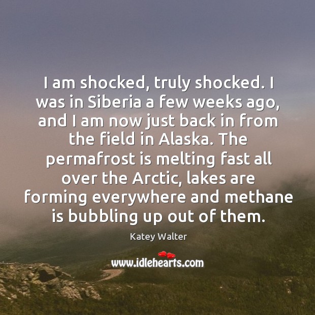 I am shocked, truly shocked. I was in Siberia a few weeks Katey Walter Picture Quote