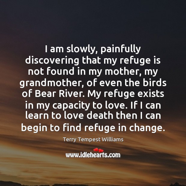 I am slowly, painfully discovering that my refuge is not found in Terry Tempest Williams Picture Quote