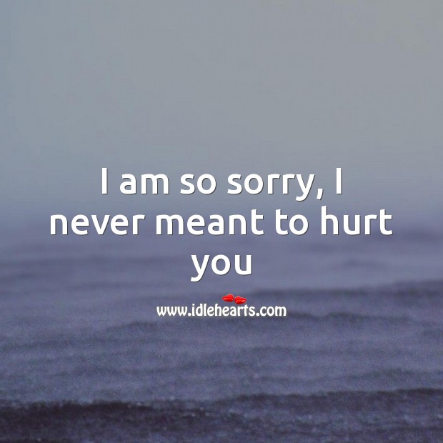 I am so sorry, I never meant to hurt you Hurt Quotes Image