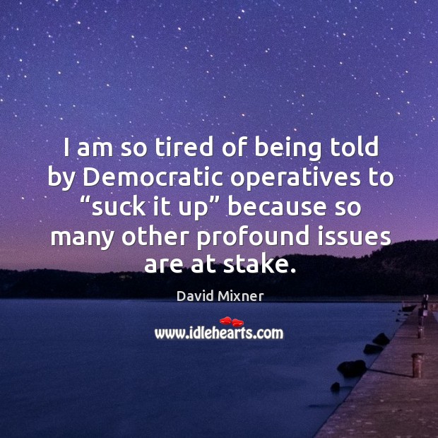 I am so tired of being told by democratic operatives to “suck it up” because so many other profound issues are at stake. David Mixner Picture Quote