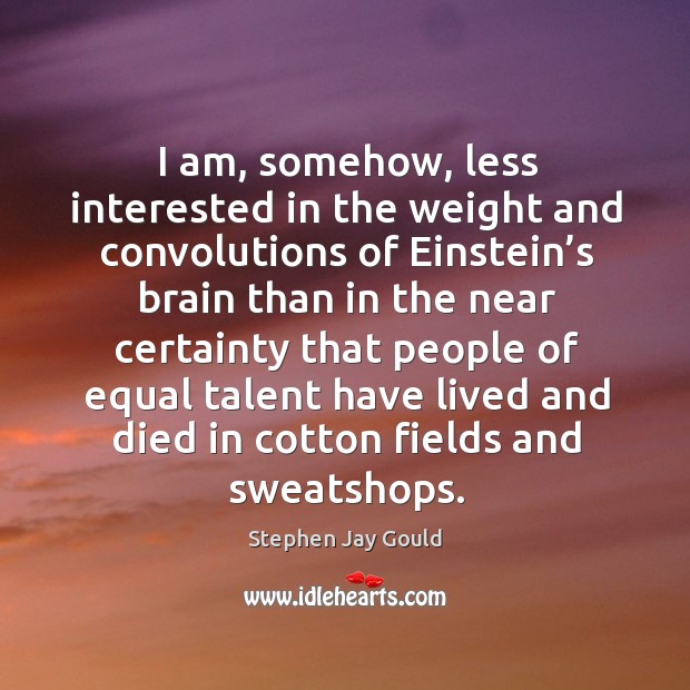 I am, somehow, less interested in the weight and convolutions of Einstein’ Stephen Jay Gould Picture Quote