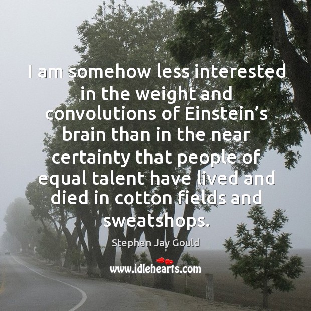 I am somehow less interested in the weight and convolutions of einstein’s brain than in the People Quotes Image