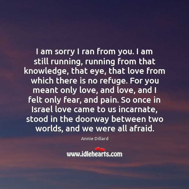I am sorry I ran from you. I am still running, running Annie Dillard Picture Quote