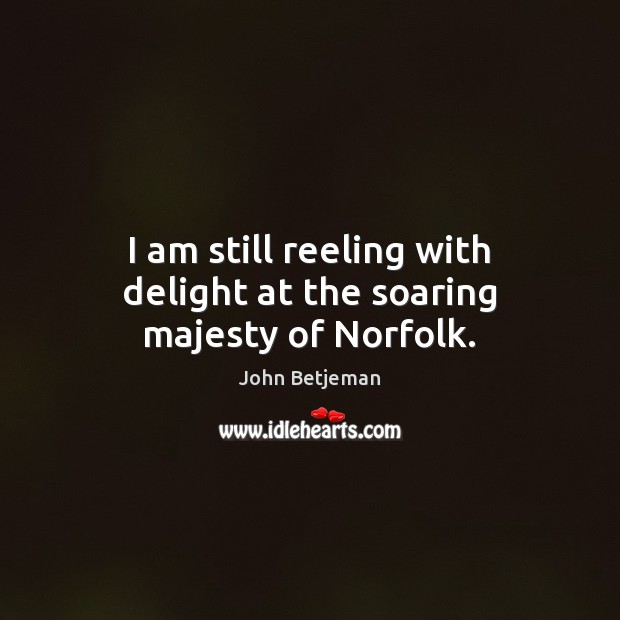 I am still reeling with delight at the soaring majesty of Norfolk. John Betjeman Picture Quote