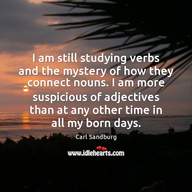 I am still studying verbs and the mystery of how they connect Carl Sandburg Picture Quote